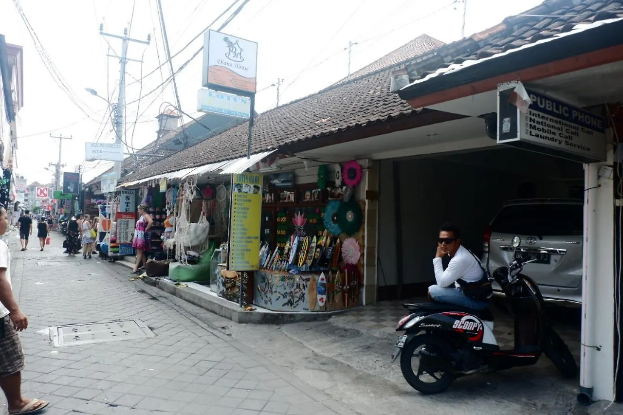 Diana House Apartment Kuta  Indonesia